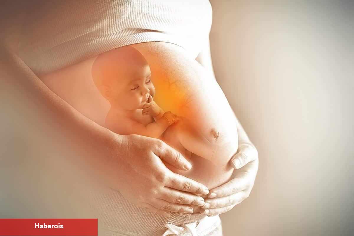 Doğum yaşı en geç kaç olmalı? Anne olmak için ülkü yaş aralığı nedir? Yumurta yaşı hesaplama