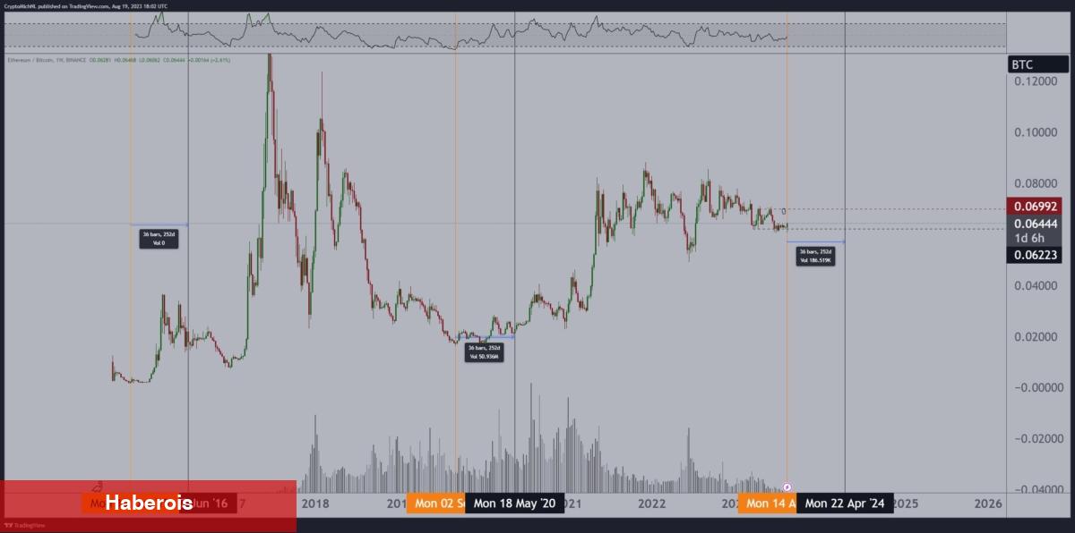 Efsane Analist: Artık Altcoin Toplamak İçin En Âlâ Zaman!