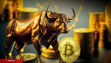 Ekonomistler Savlı: Tarihi Bilgiler Bitcoin Boğası Öneriyor!
