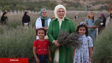 Emine Erdoğan, Ankara'da Ekolojik Köy ziyareti ve lavanta hasadı yaptı