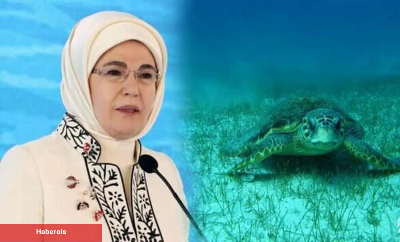 Emine Erdoğan'dan "deniz kaplumbağası" paylaşımı: "Biz korudukça onlar yaşamaya devam edecek"