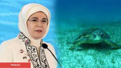 Emine Erdoğan'dan "deniz kaplumbağası" paylaşımı: "Biz korudukça onlar yaşamaya devam edecek"