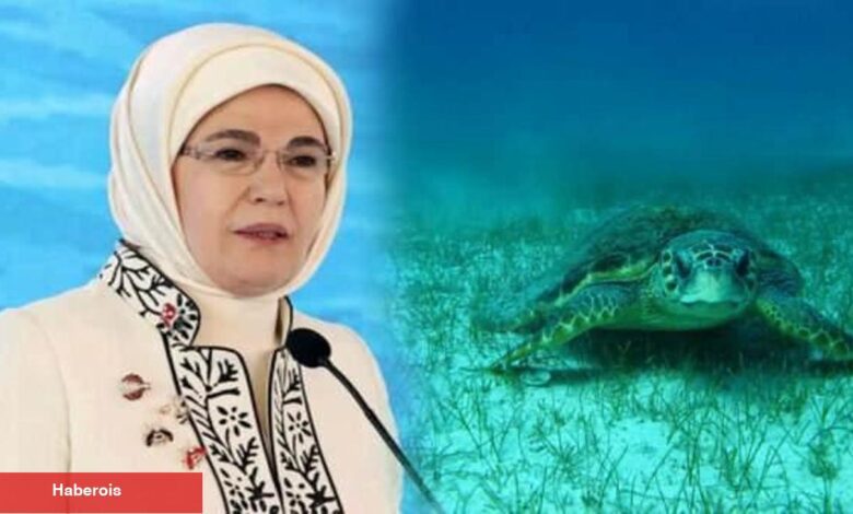 Emine Erdoğan'dan "deniz kaplumbağası" paylaşımı: "Biz korudukça onlar yaşamaya devam edecek" - Haberois Emine Erdoğan'dan "deniz kaplumbağası" paylaşımı: "Biz korudukça onlar yaşamaya devam edecek"