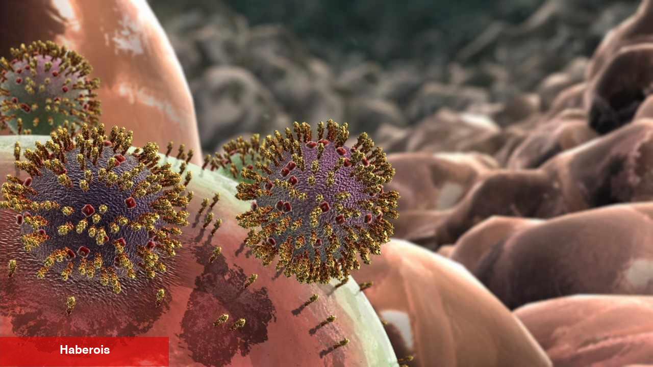 Eris varyantı nedir? Eris varyantı belirtileri neler? Yeni Covid varyantı Eris öldürücü mü?