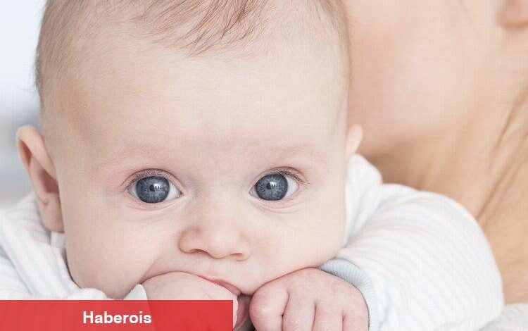 Erken doğan bebeklerde görülen ROP için uluslararası kurs - Haberois Erken doğan bebeklerde görülen ROP için uluslararası kurs