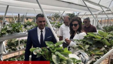 Eskişehir'in kırsal kalkınmasına BEBKA desteği