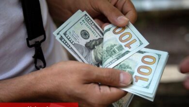 Finansal kesim dışındaki firmaların net döviz açığı mayısta 81 milyar 472 milyon dolara geriledi