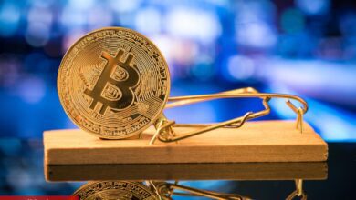 “Geçici Bir Heves!” Bitcoin Fiyatındaki Yükseliş Bir Tuzak mı?