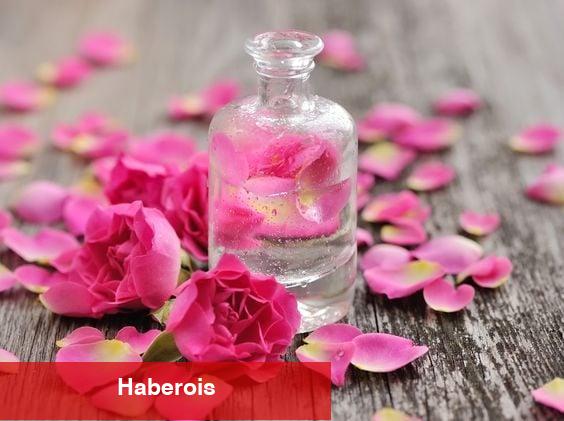 Gül yağının yararları - Haberois Gül yağının yararları