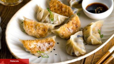 Gyoza nasıl yapılır? Japon mantısı gyoza tanımı nedir? İşte içi sulu dışı çıtır çıtır mantı...