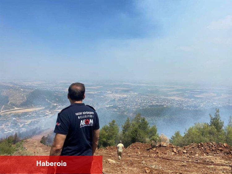 Hatay Antakya'daki orman yangınları söndürüldü