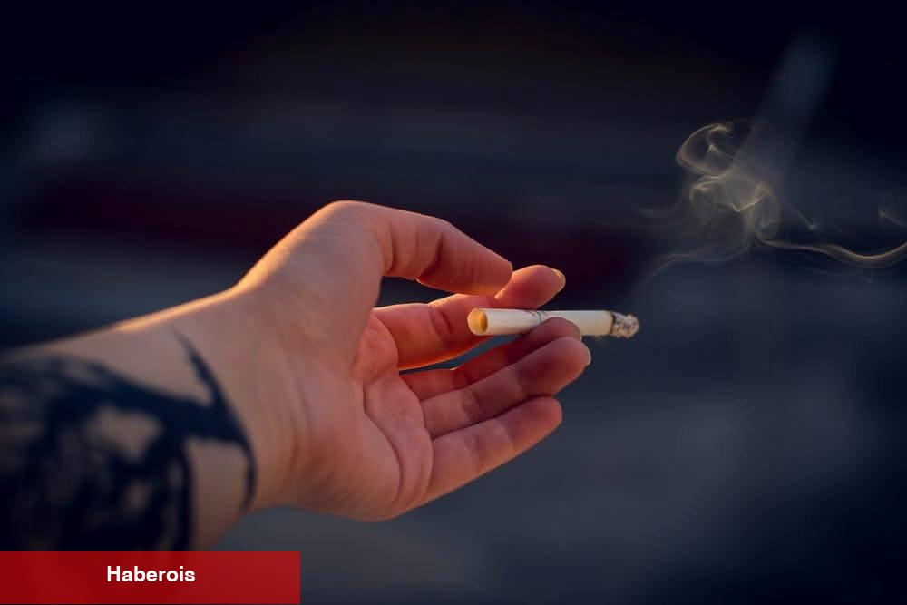 Hava Kirliliği Artıyor !