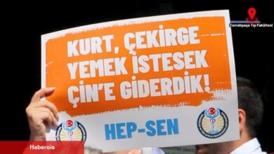 HEP-SEN Uyardı : “Soğuk ve Tuzsuz Yemekler, Kanserojen Tabaklarla Servis Ediliyor”