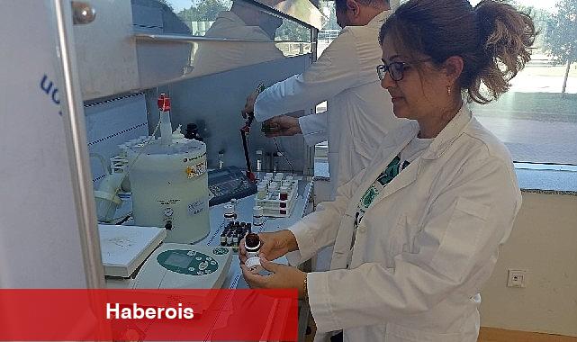HRÜ'de İki Önemli Proje Daha TÜBİTAK Tarafından Kabul Edildi - Haberois HRÜ'de İki Önemli Proje Daha TÜBİTAK Tarafından Kabul Edildi