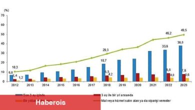 İnternete erişim imkanı olan hane oranı yüzde 95,5 oldu