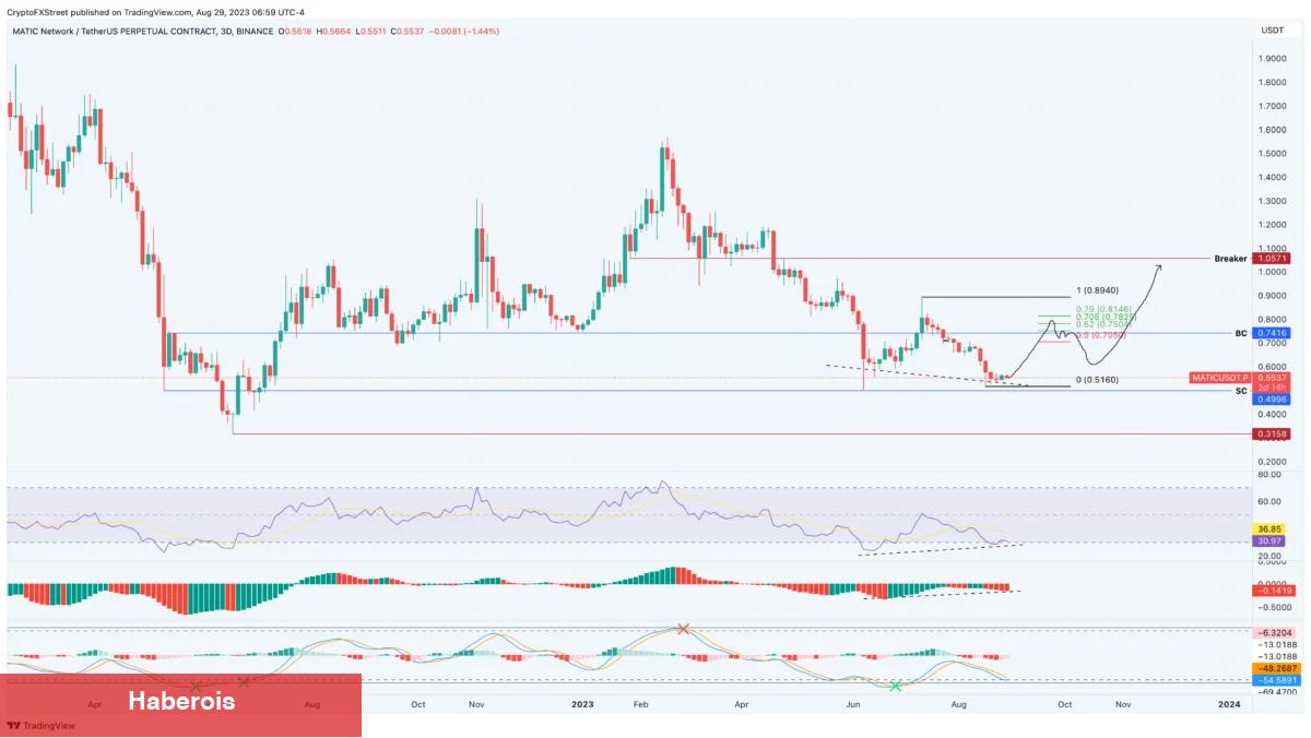 İşareti Aldılar! Balinalar Bu Altcoin’e Saldırıyor - Haberois İşareti Aldılar! Balinalar Bu Altcoin’e Saldırıyor
