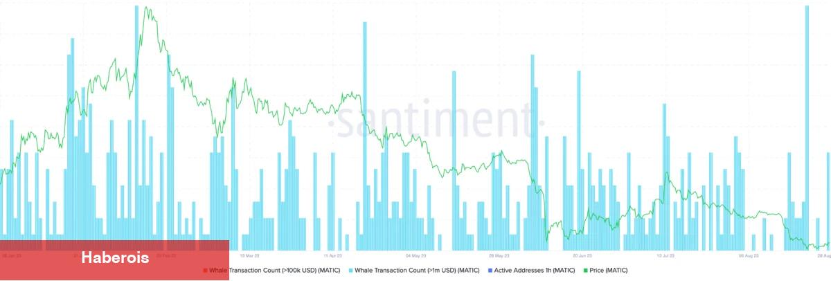 İşareti Aldılar! Balinalar Bu Altcoin’e Saldırıyor - Haberois İşareti Aldılar! Balinalar Bu Altcoin’e Saldırıyor