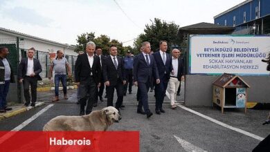 İstanbul Valisi Davut Gül Beylikdüzü'nde İncelemelerde Bulundu