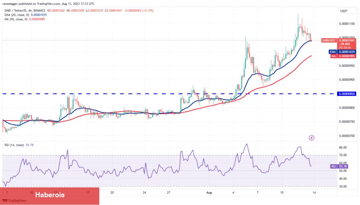 İşte Bu Hafta Bitcoin’i Bile Sollayabilecek 4 Altcoin!