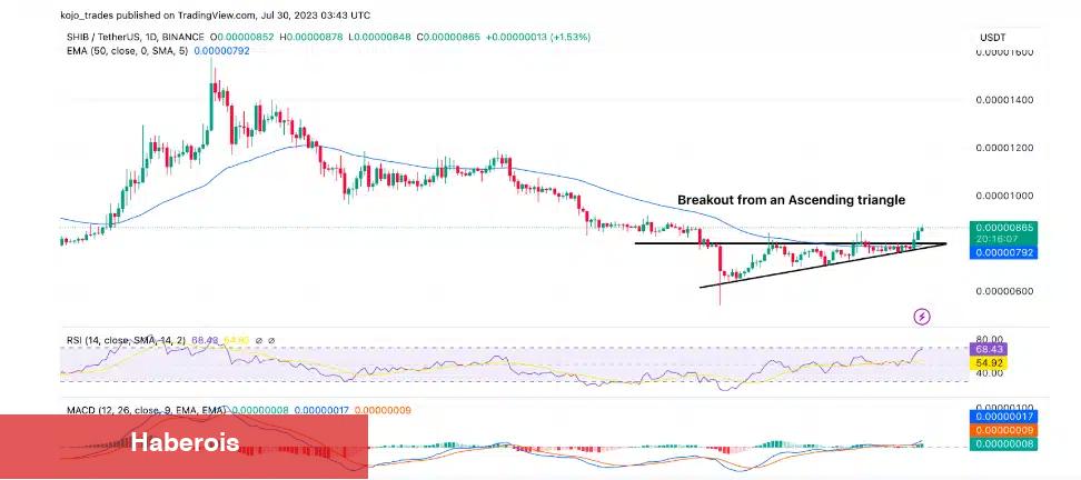 İşte Bu Hafta İzlenecek 6 Altcoin: Düşüş Beklenen de Var! - Haberois İşte Bu Hafta İzlenecek 6 Altcoin: Düşüş Beklenen de Var!