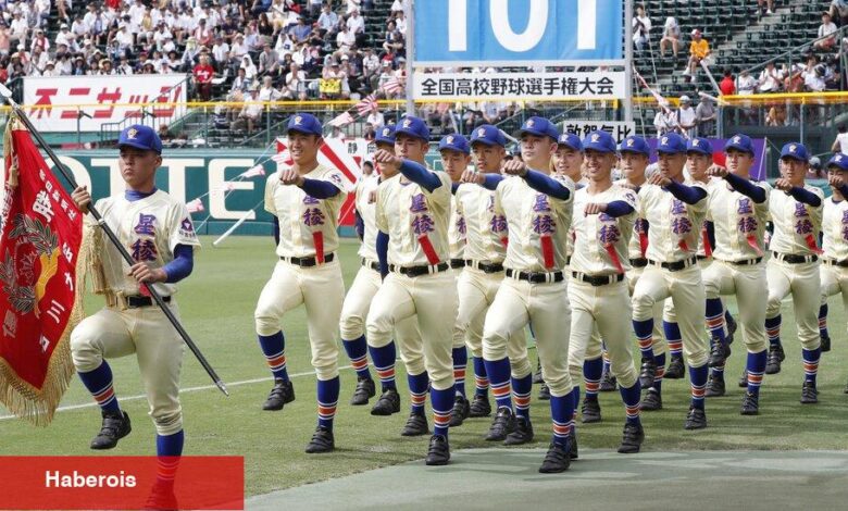 Japonya'nın Kalıcı 'Yazın Sesi' - Haberois Japonya'nın Kalıcı 'Yazın Sesi'