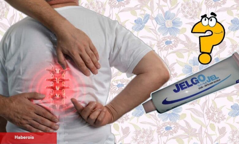 Jelgo jel ne işe fayda, yan tesirleri nelerdir? Jelgo jel kullanımı! Jelgo jel fiyatı 2023 - Haberois Jelgo jel ne işe fayda, yan tesirleri nelerdir? Jelgo jel kullanımı! Jelgo jel fiyatı 2023
