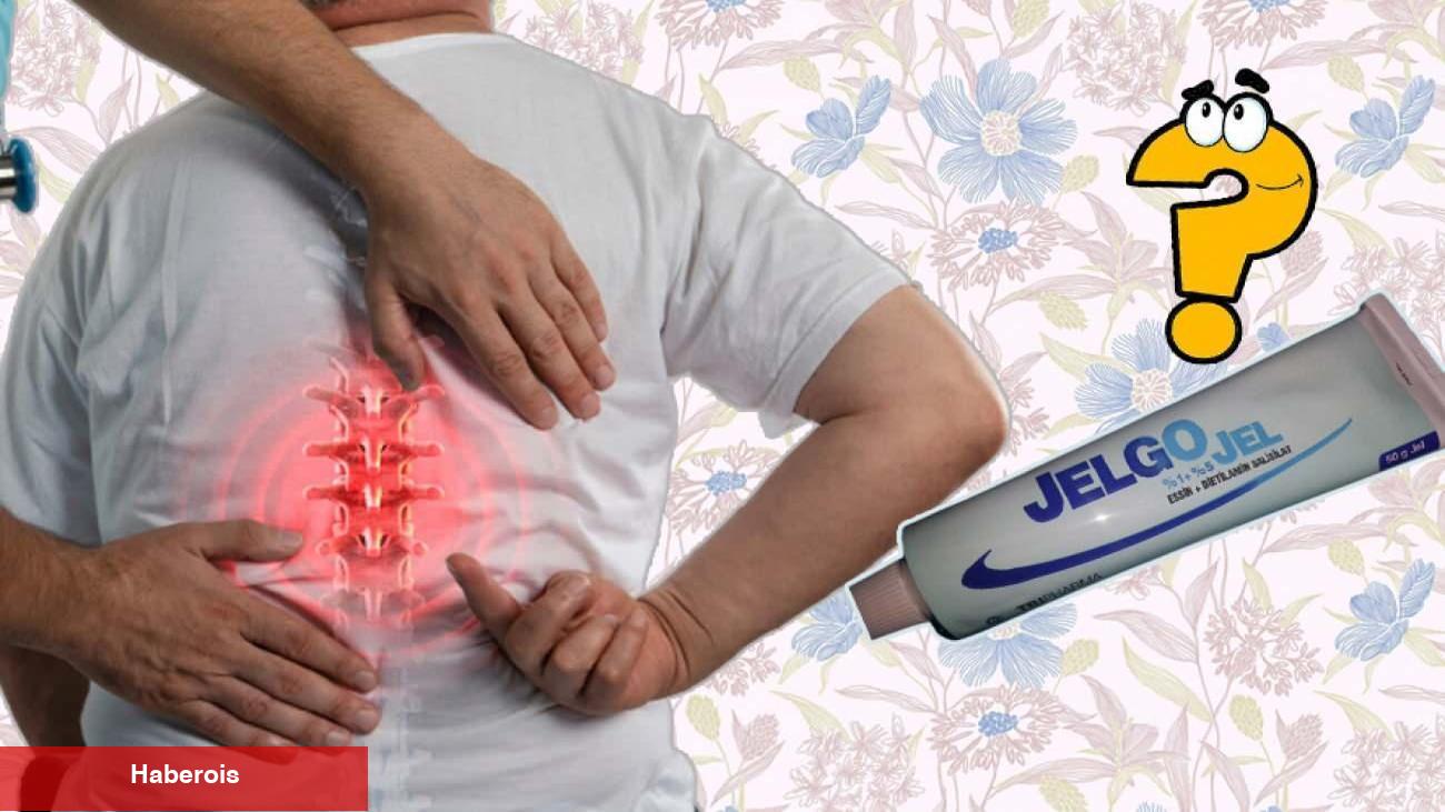 Jelgo jel ne işe fayda, yan tesirleri nelerdir? Jelgo jel kullanımı! Jelgo jel fiyatı 2023