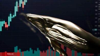 Justin Sun da Var! 5 Balina, Bu Altcoin’den Satın Alıyor!