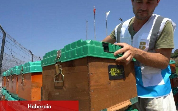 Kadın üreticilere ücretsiz kovan - Haberois Kadın üreticilere ücretsiz kovan