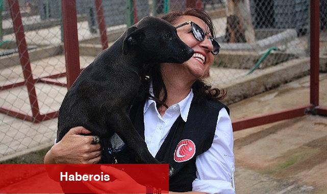Karşıyaka Belediyesi, can dostlara huzurlu bir hayat sunuyor - Haberois Karşıyaka Belediyesi, can dostlara huzurlu bir hayat sunuyor