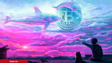 Kaygılar Büyüyor: Bitcoin Balinaları Satış İçin Hazırlık Yapıyor!