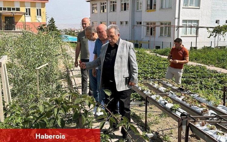 Kayseri Talas'ta örnek deneme bahçeleri - Haberois Kayseri Talas'ta örnek deneme bahçeleri