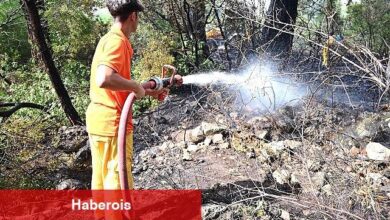 Kemer'de korkutan yangın büyümeden kontrol altına alındı