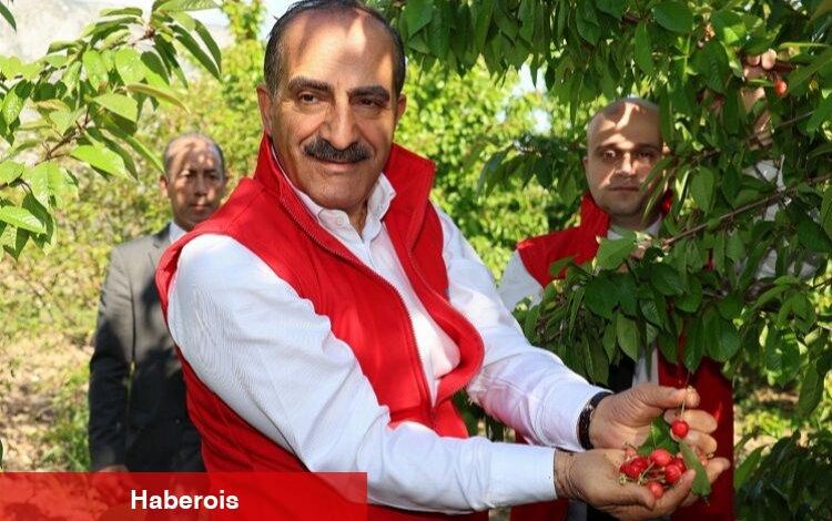 Kirazdan 205 milyon dolarlık rekor - Haberois Kirazdan 205 milyon dolarlık rekor