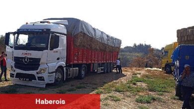 Kocaeli'den, Çanakkale'deki yangın mağduru çiftçilere destek