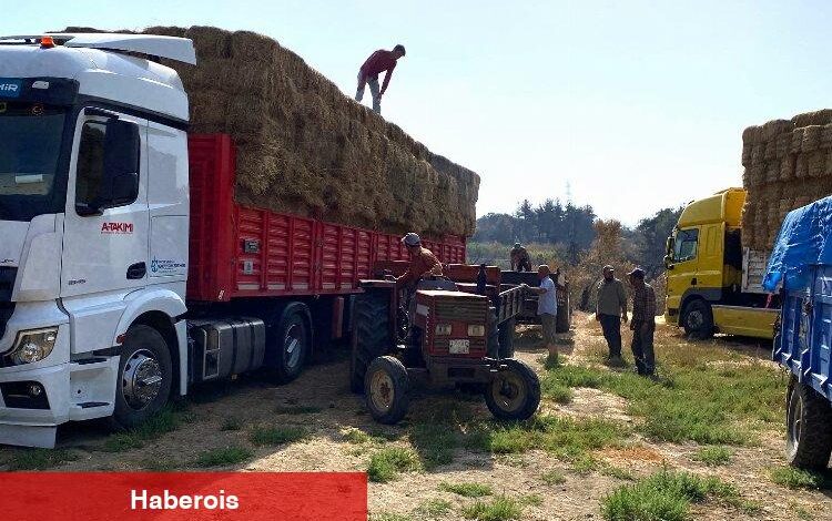 Kocaeli’den, Çanakkale’deki yangın mağduru çiftçilere destek - Haberois Kocaeli’den, Çanakkale’deki yangın mağduru çiftçilere destek