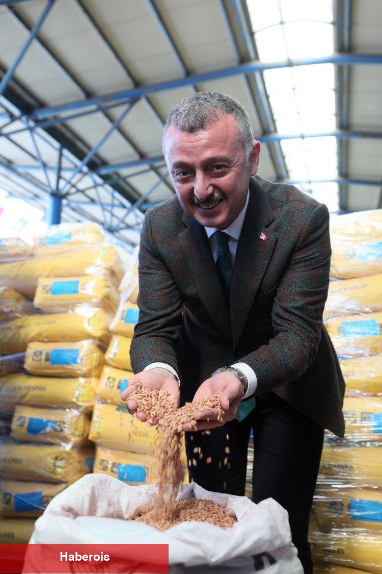 Kocaeli'den çiftçilere tohum desteği