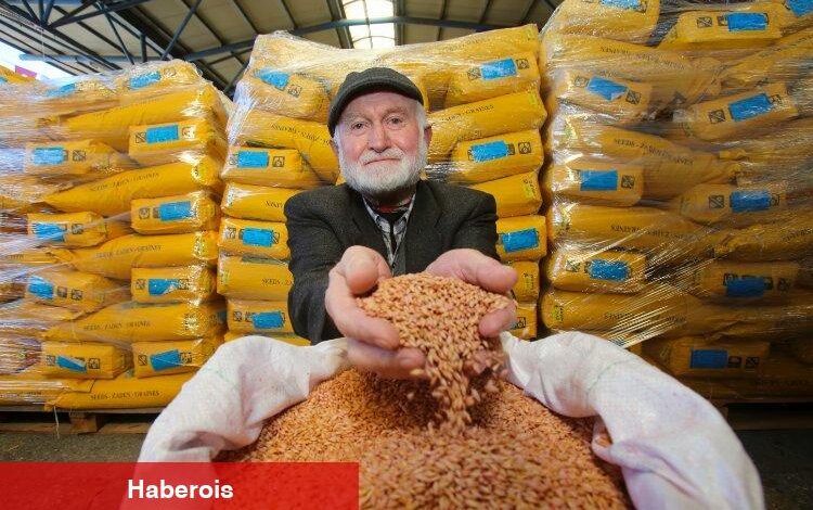 Kocaeli'den çiftçilere tohum desteği - Haberois Kocaeli'den çiftçilere tohum desteği