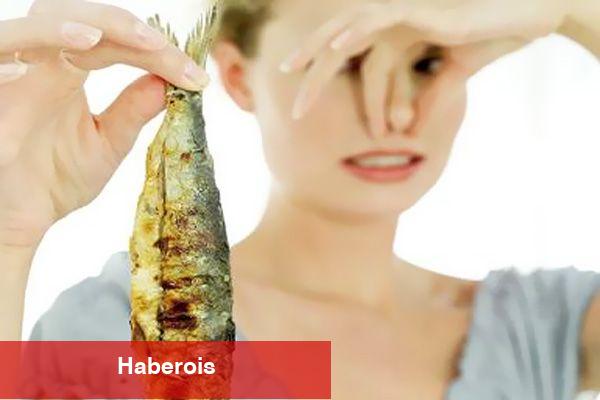 Konuttaki berbat kokulardan kurtulma yolları