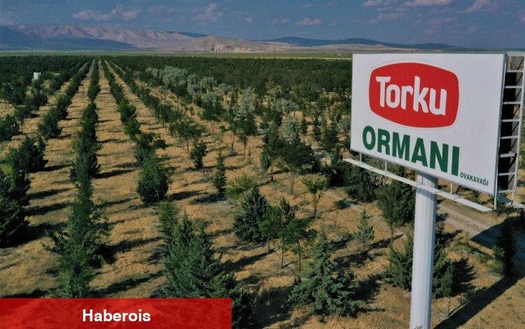 Konya Şeker'den 'ağaç' açıklaması - Haberois Konya Şeker'den 'ağaç' açıklaması