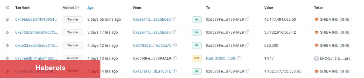Kripto Para Balinaları, Ağustos İçin Bu 4 Altcoini Alıyor! - Haberois Kripto Para Balinaları, Ağustos İçin Bu 4 Altcoini Alıyor!