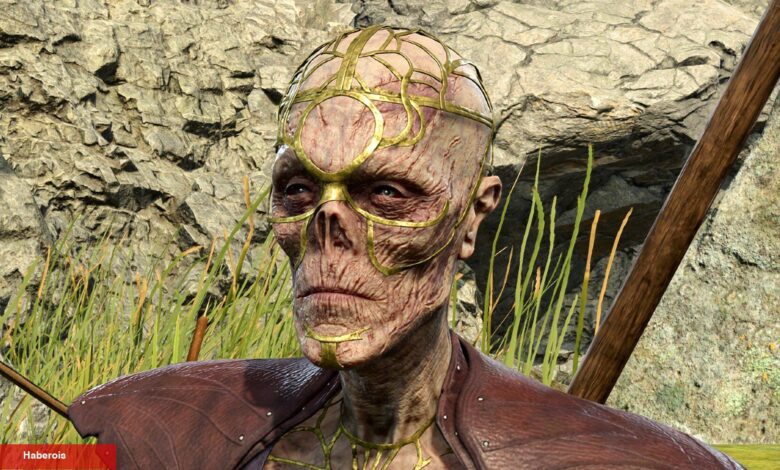 Larian, Baldur's Gate 3 DLC'sine Yeşil Işık Yaktı - Haberois Larian, Baldur's Gate 3 DLC'sine Yeşil Işık Yaktı