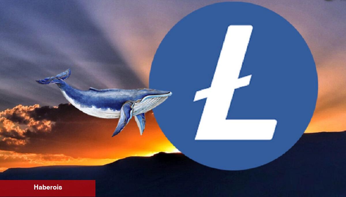Litecoin 3. Halvingi Tamamladı! Fiyat Düşüyor! - Haberois Litecoin 3. Halvingi Tamamladı! Fiyat Düşüyor!