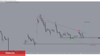 Litecoin 3. Halvingi Tamamladı! Fiyat Düşüyor!