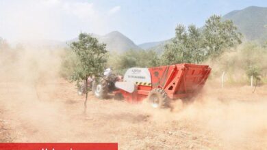 Manisa'nın taşlı arazileri verimli tarlalara dönüşüyor