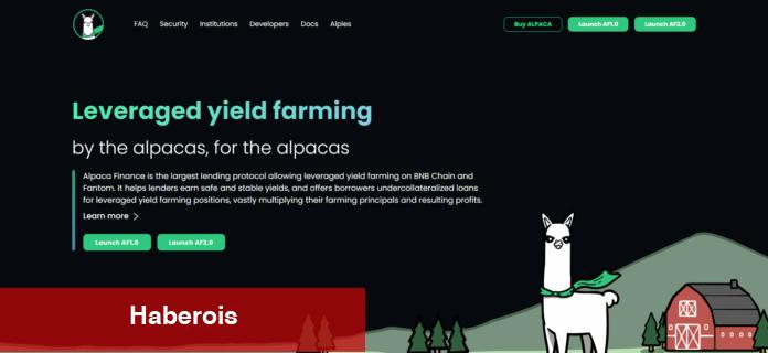 Milyonluk Aboneli Analist, Radarındaki 5 Altcoin İsmini Verdi!