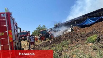 Muğla Büyükşehir Acil Müdahale Aracı ile Yangından Etkilenen Hayvanlara Müdahale