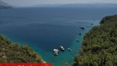 Muğla doğası için 174 dava açtı!