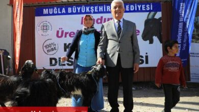 Muğla 'Kıl Keçisi' desteğini sürdürüyor