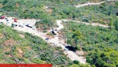 Muğla'dan 'Akbelen' açıklaması